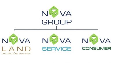Hệ sinh thái tập đoàn Nova gồm những gì?
